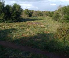 Terreno en venta cerca de Mahon