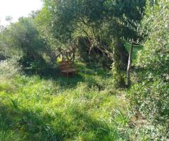 Terreno en venta cerca de Mahon