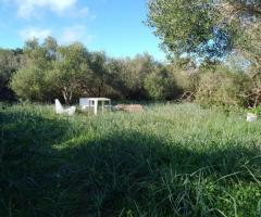 Terreno en venta cerca de Mahon