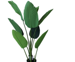 Planta decorativa Leroy Merlín